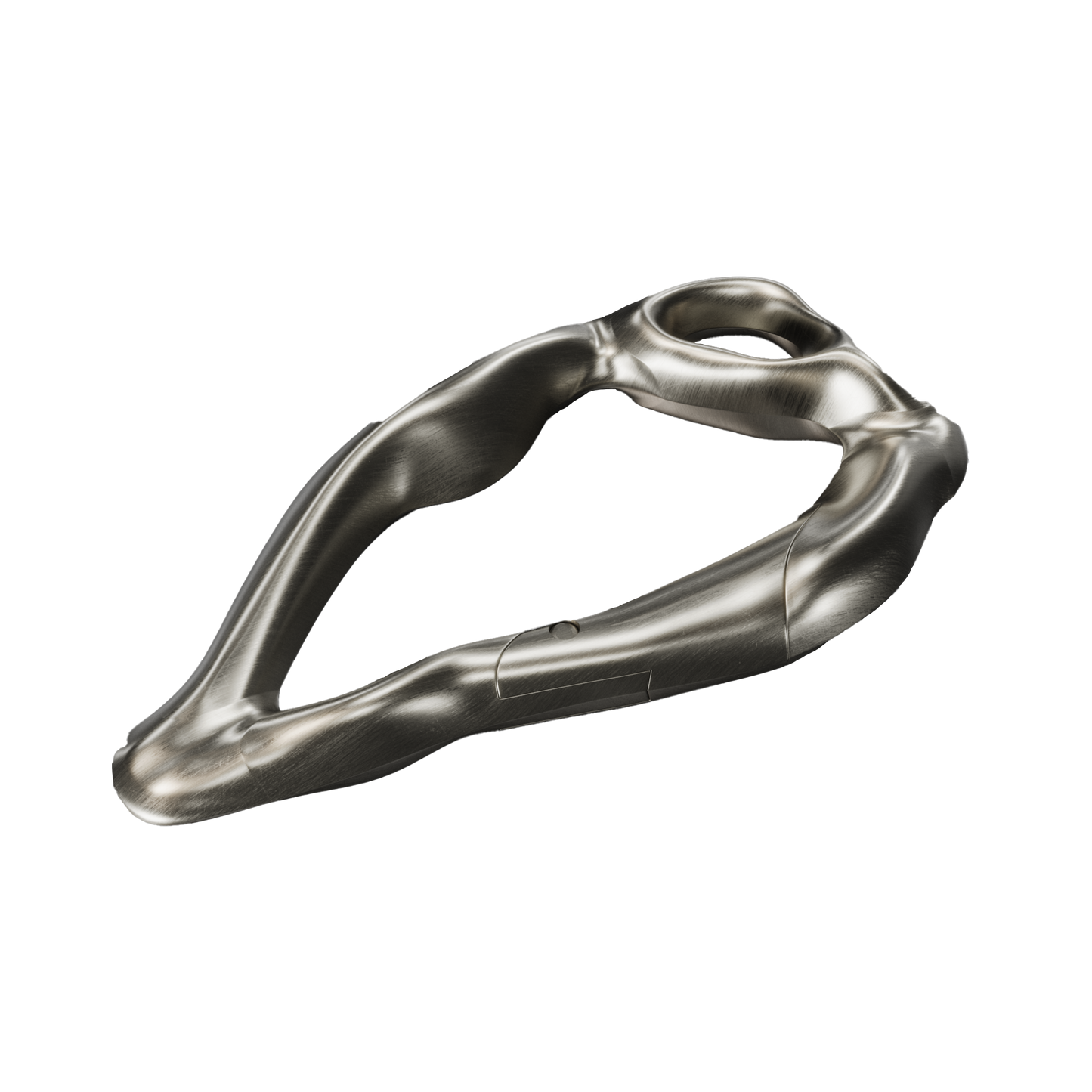 THE FOSSIL CARABINER