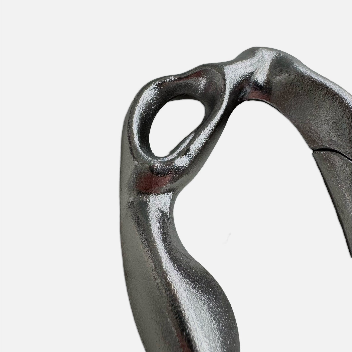 THE FOSSIL CARABINER