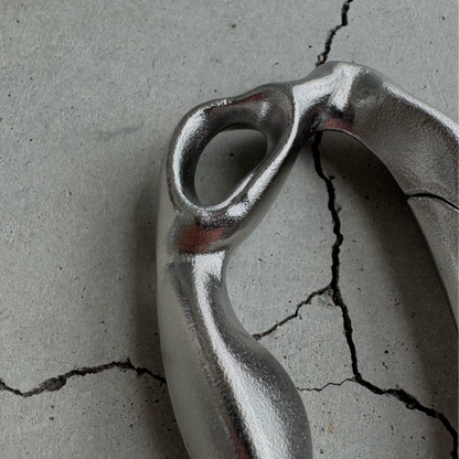 THE FOSSIL CARABINER